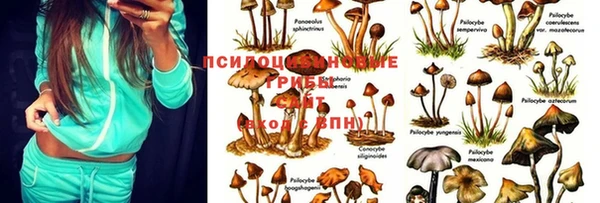 MESCALINE Краснослободск