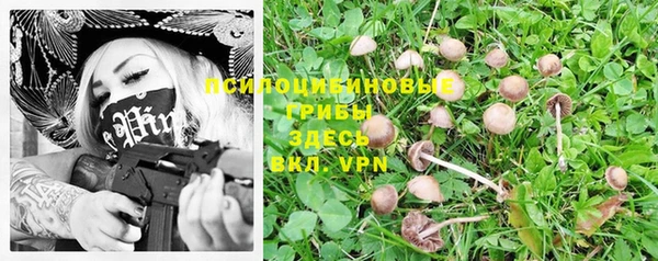 герыч Коряжма
