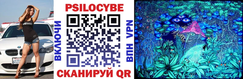 ОМГ ОМГ рабочий сайт  Неман  Псилоцибиновые грибы Cubensis 